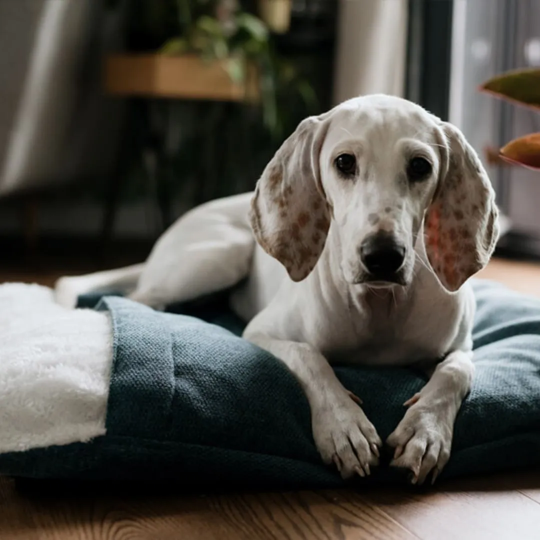 Bowl and Bone Bliss Dog Sleeping Bag Ocean