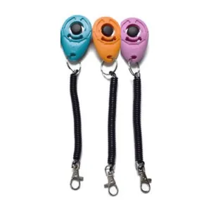 Clicker Training Tool with Wrist Strap