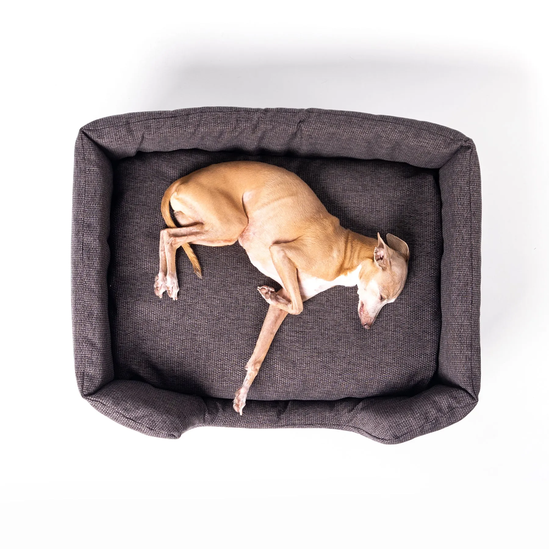 Deeply Dishy Luxury Dog Bed - Weave II