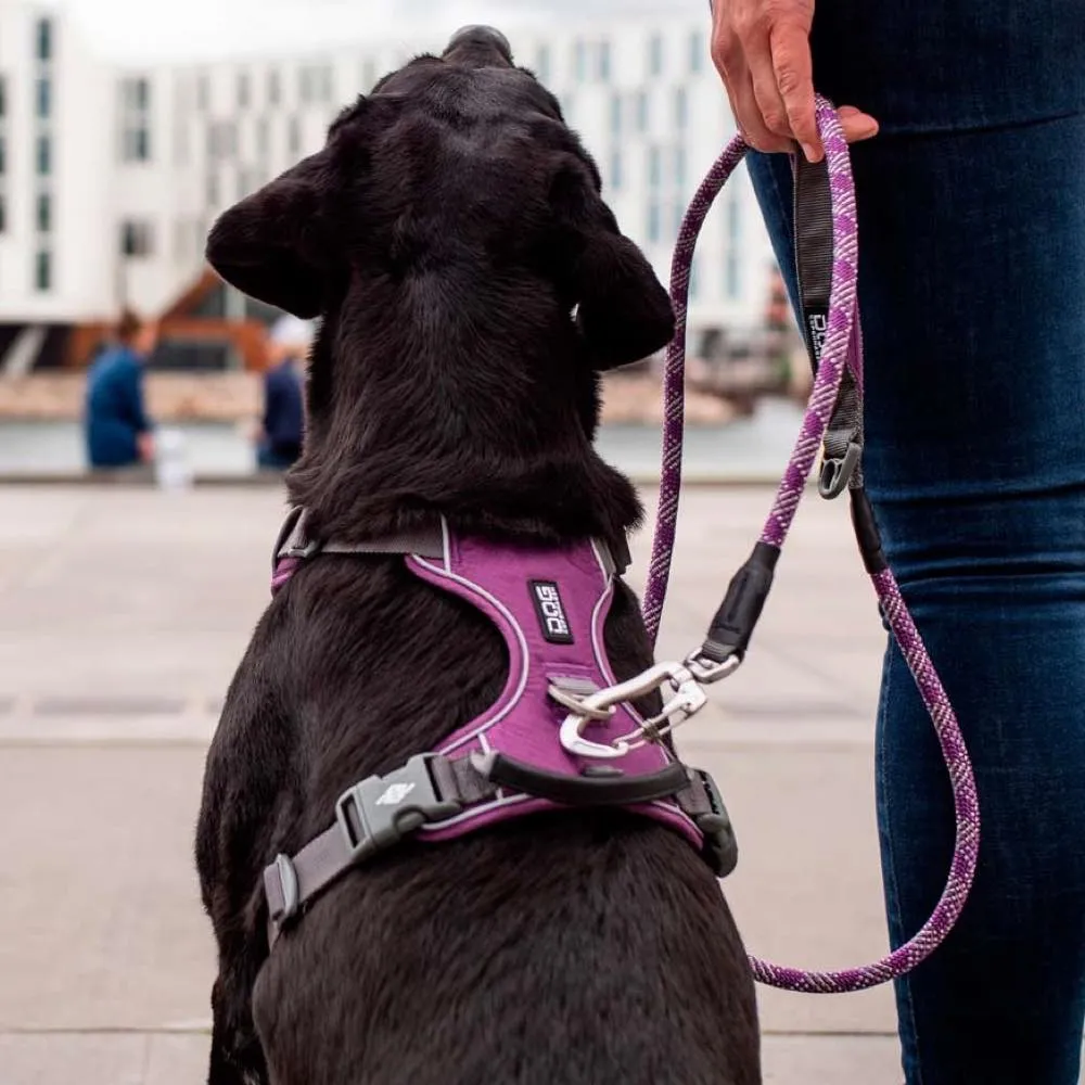 DOG Copenhagen Comfort Walk Pro Dog Harness (Purple Passion)