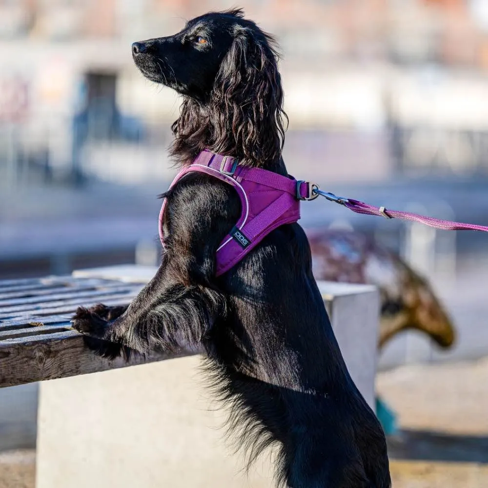 DOG Copenhagen Comfort Walk Pro Dog Harness (Purple Passion)