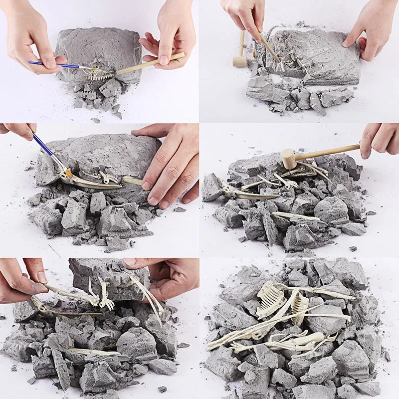 Educational Dinosaur Fossil Excavation Toys Archaeological Dig Toy DIY Assembly Model Toys for Children Kids Gifts Toy