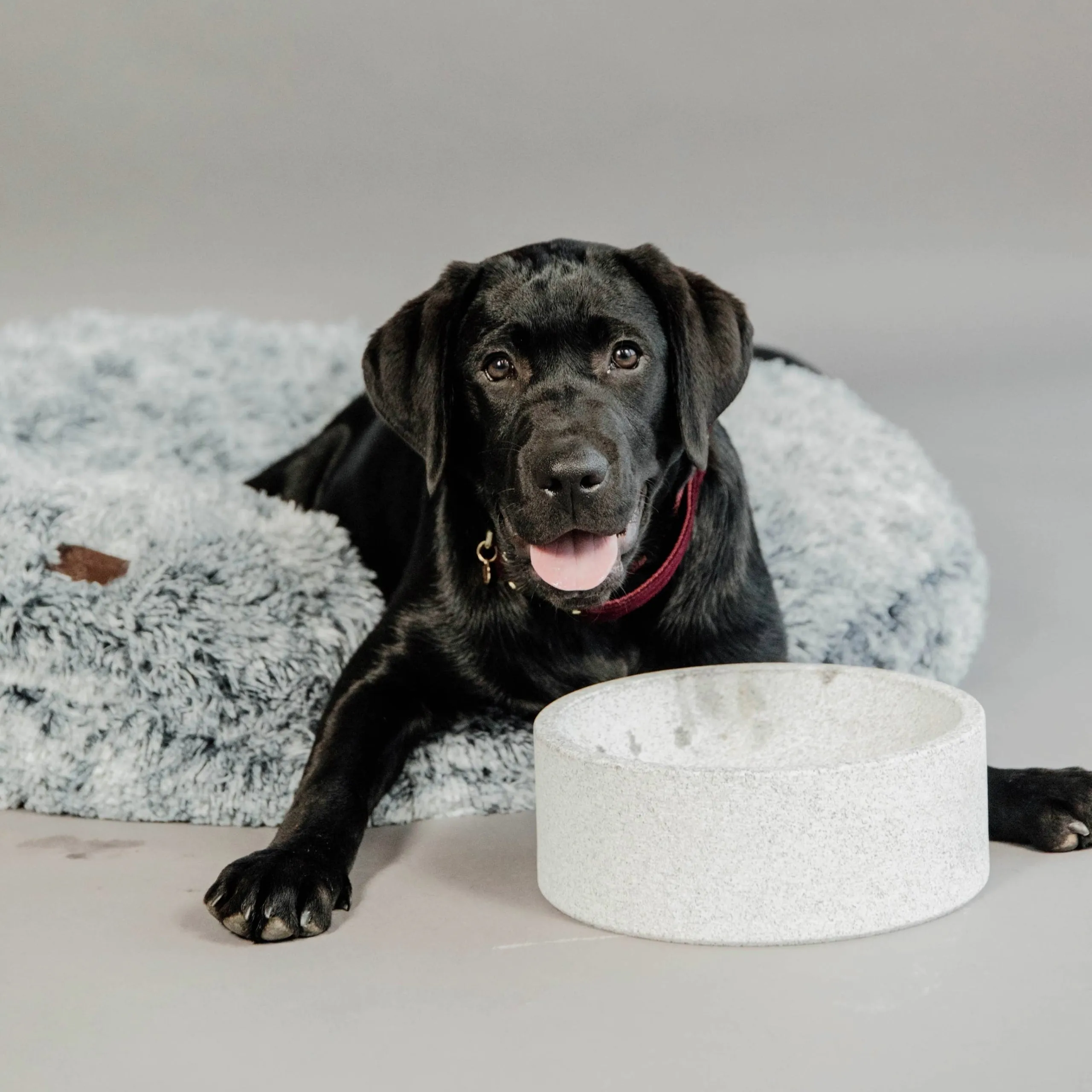 Kentucky Dogwear Comfort Donut Dog Bed - Grey