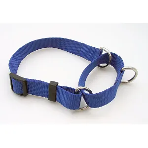 Martingale Collar