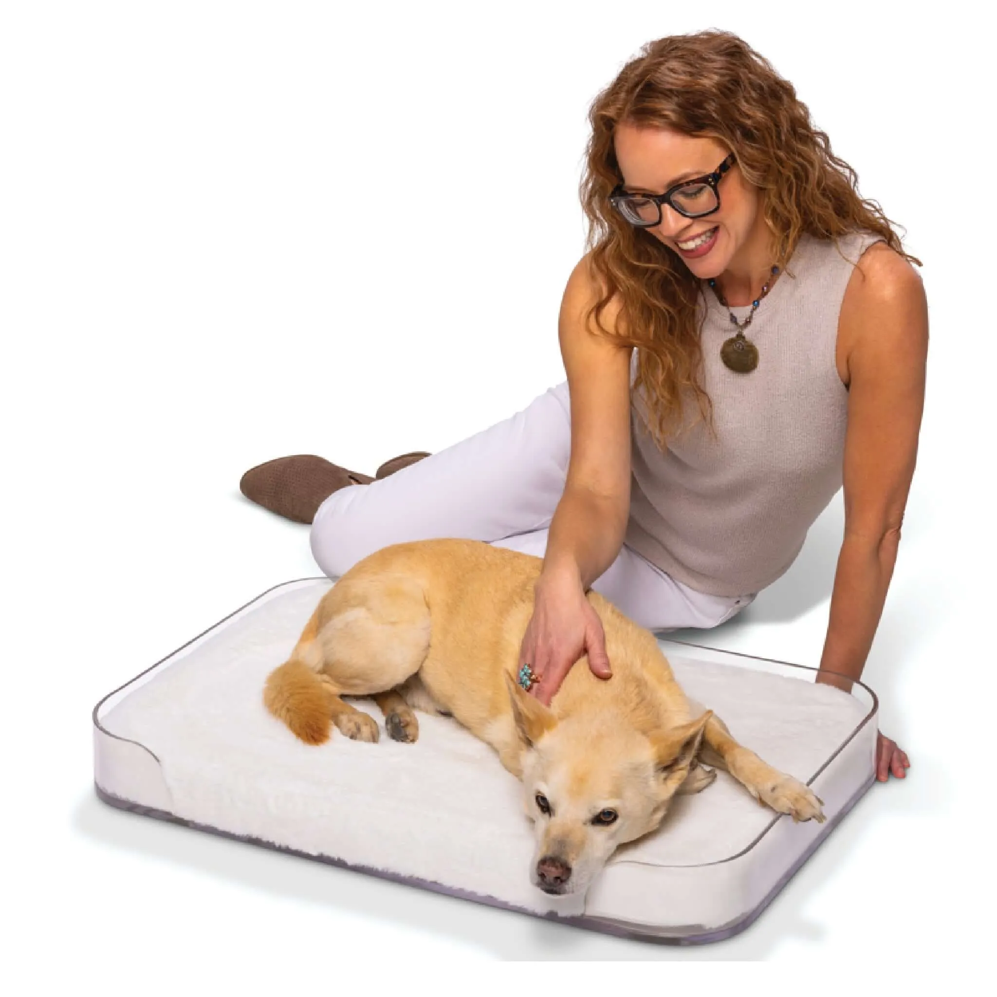 Modern Acrylic Dog Bed with Memory Foam Cushion