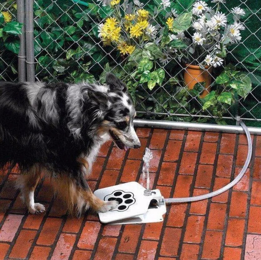 Outdoor Dog Water Fountain™