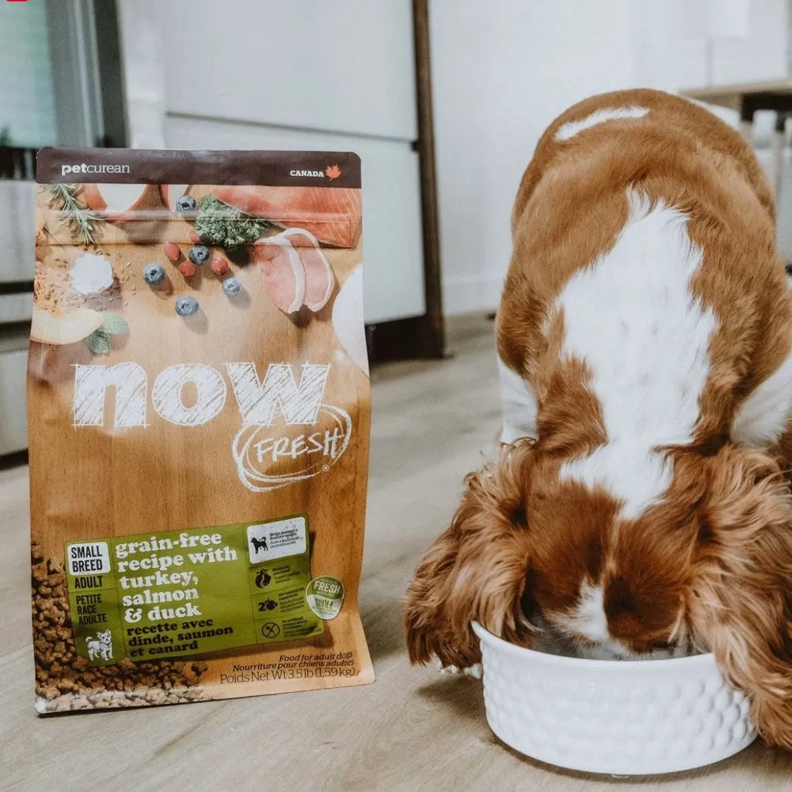 PETCUREAN Now Fresh: Grain-Free Turkey, Salmon and Duck for Small Breed Dogs