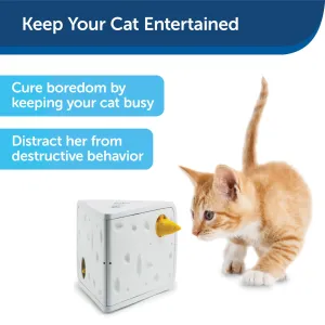 PetSafe Cheese Automatic Cat Toy