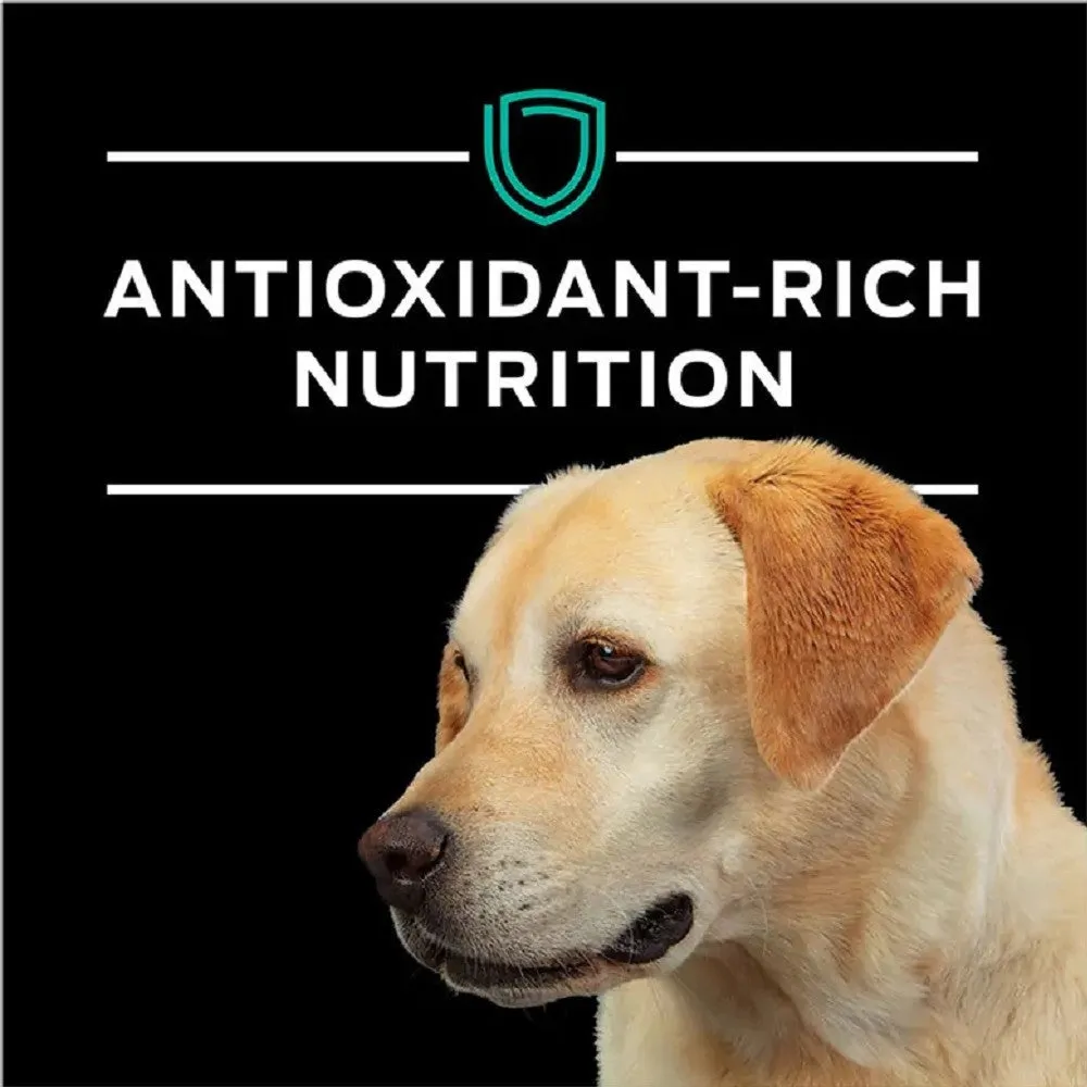 Pro Plan Veterinary Diets - EN Gastroenteric Naturals Dog Dry Food