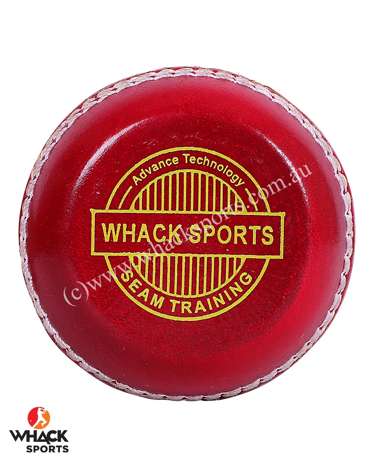 WHACK Aggot/Seam Training 156gm Leather Cricket Ball